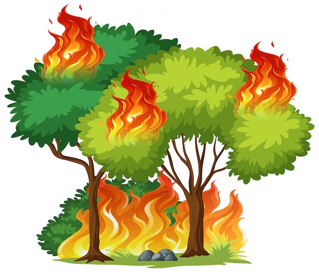 Isolated tree on fire Premium Vector
