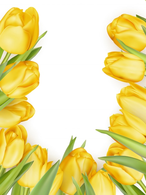 Premium Vector | Isolated tulip frame arrangement, on a white background.