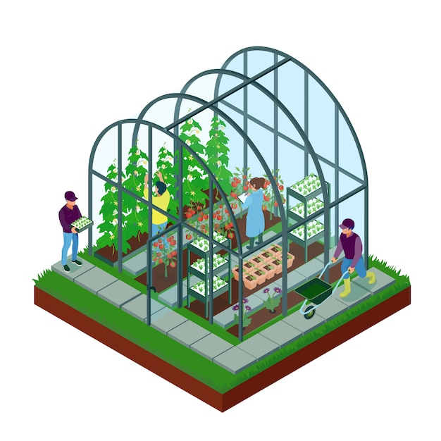 Free Vector | Isometric greenhouse illustration