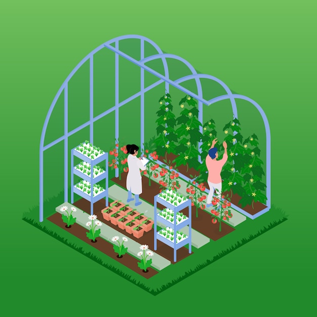 Free Vector | Isometric greenhouse illustration