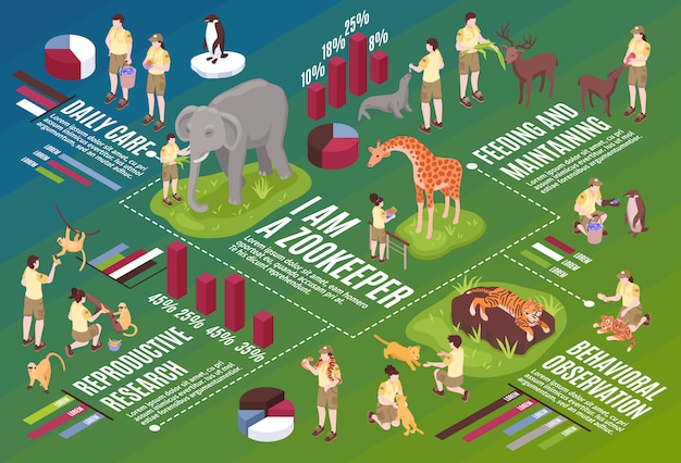 Isometric zoo workers horizontal flowchart composition with infographic