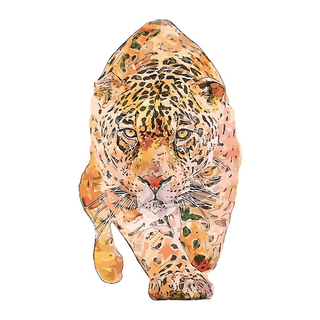 Download Premium Vector | Jaguar animal watercolor sketch hand ...
