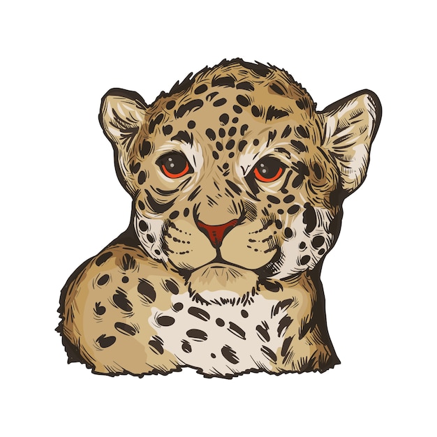 ジャガーの赤ちゃん エキゾチックな動物の肖像画は スケッチを分離しました 手描きイラスト プレミアムベクター