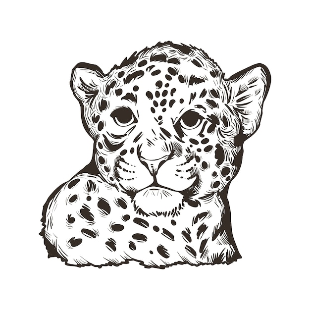 ジャガーの赤ちゃん エキゾチックな動物の肖像画は スケッチを分離しました 手描きイラスト プレミアムベクター
