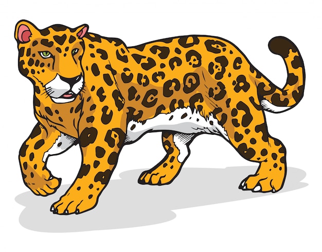 Jaguar vector illustration | Premium Vector