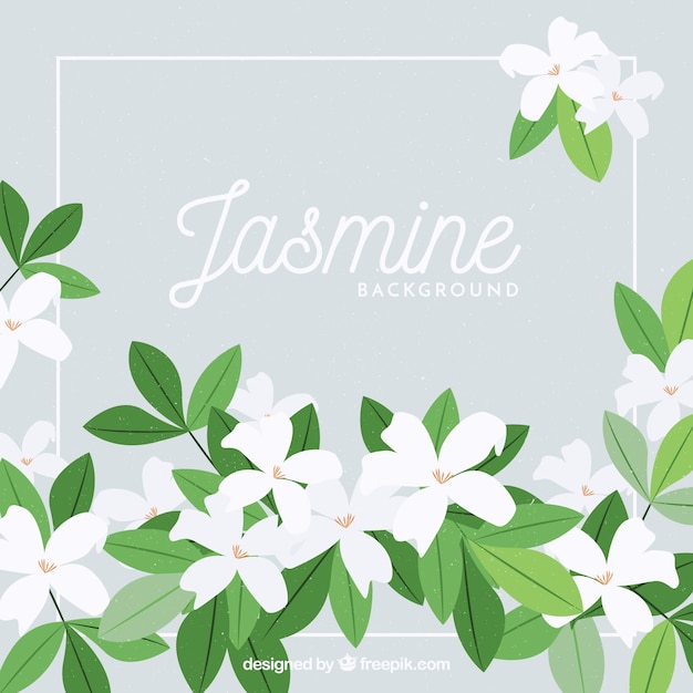 美しい花とジャスミンの背景 プレミアムベクター