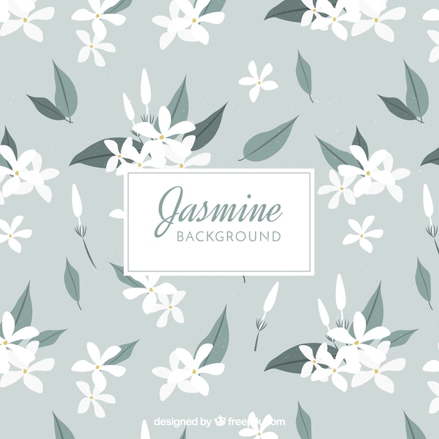 白い花とジャスミンの背景 プレミアムベクター