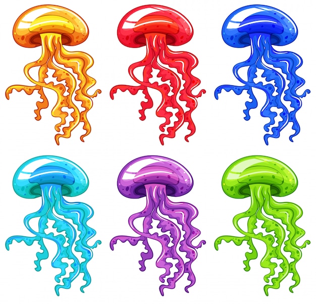 Download Jellyfish Vector | Premium Download