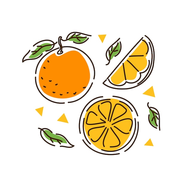 ジューシーなオレンジセット 柑橘系の果物 オレンジスライス アウトラインスタイルのタンジェリン ベクトルイラスト プレミアムベクター