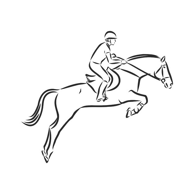 Premium Vector | Jumping horse,black white picture isolated on white ...