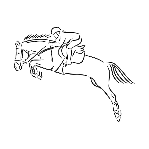 Premium Vector | Jumping horse,black white picture isolated on white ...