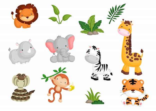 Download Jungle animal image set Vector | Premium Download