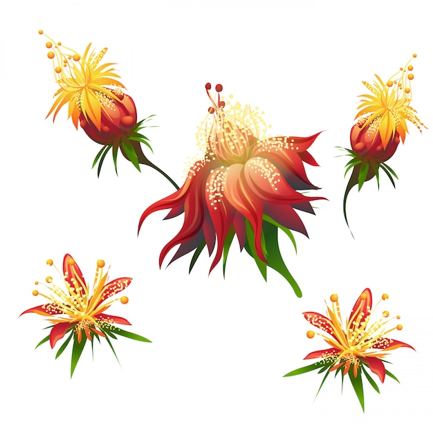 Premium Vector Jungle flowers