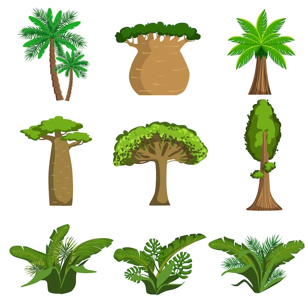 Premium Vector | Jungle trees and plants set