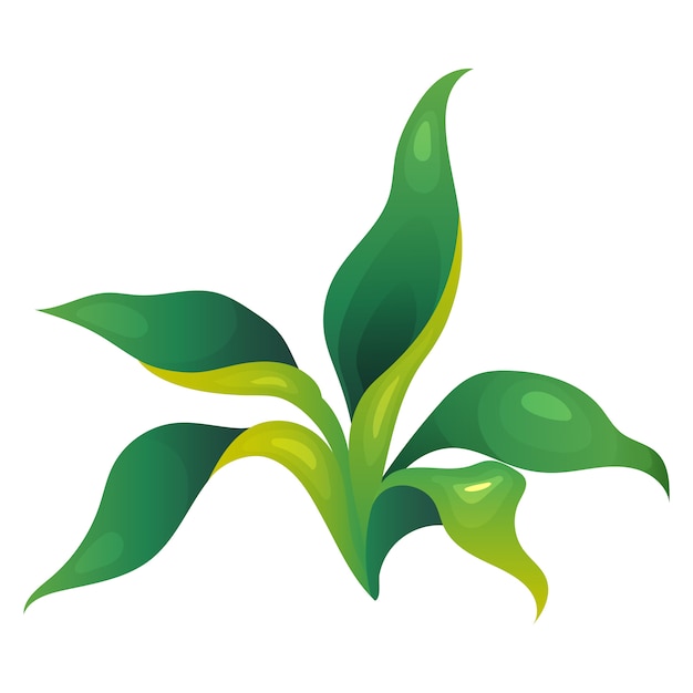 ジャングルの植生漫画イラスト シダの長い葉 装飾的な緑豊かな低木 熱帯雨林の緑 熱帯低木フラットカラーオブジェクト 白い背景で隔離のエキゾチックな葉 プレミアムベクター