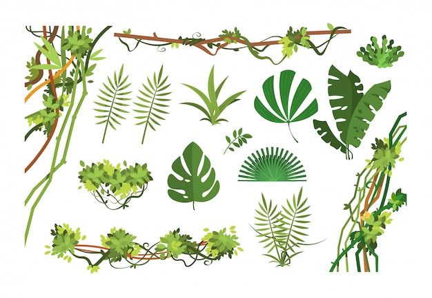 ジャングルつる 漫画の熱帯雨林の葉とリアナの生い茂った植物 セットする プレミアムベクター