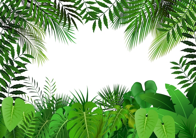 Premium Vector | Jungle on white background