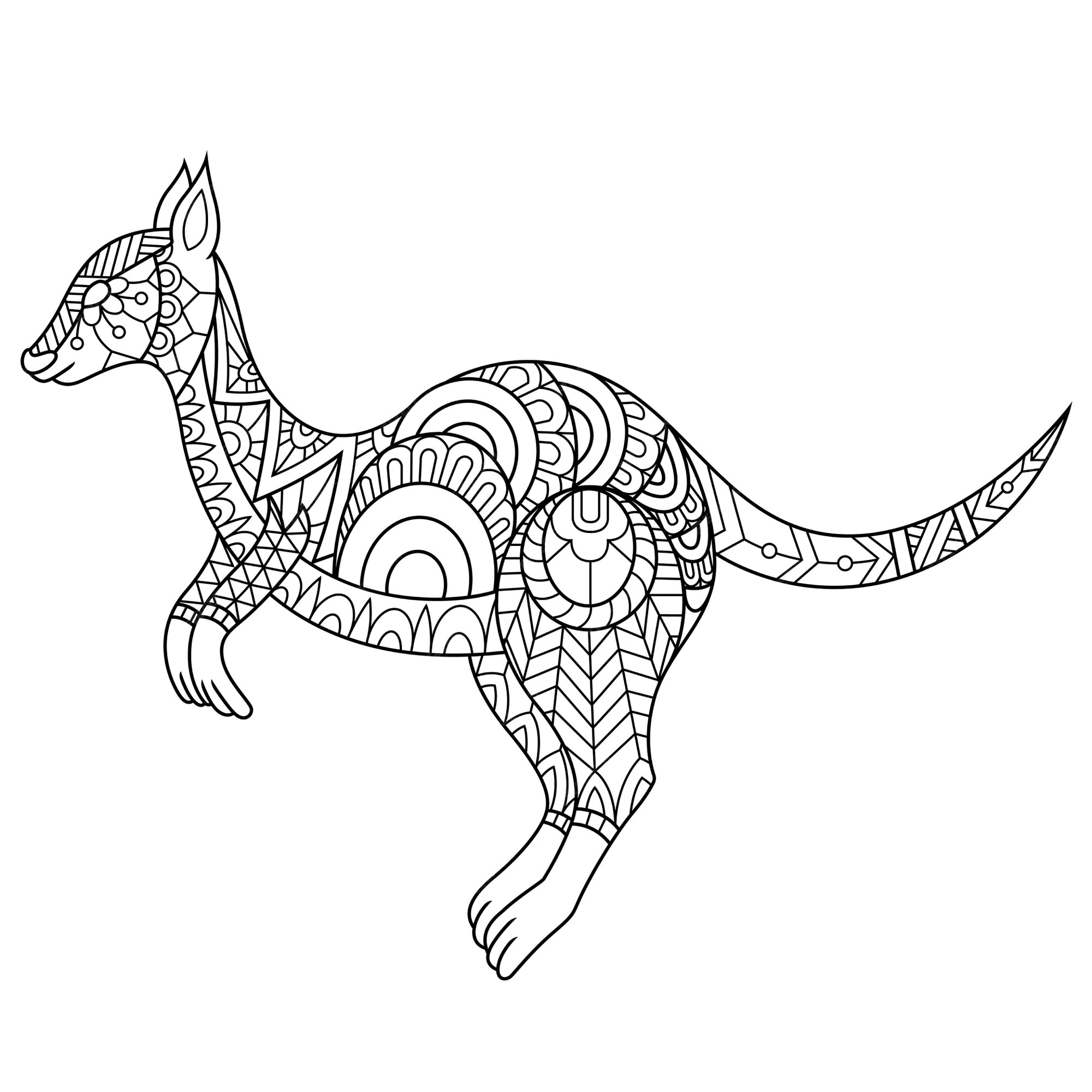 Premium Vector Kangaroo Drawn In Doodle Style