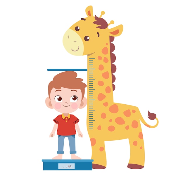 Premium Vector | Kid measure height vector illustration isolated