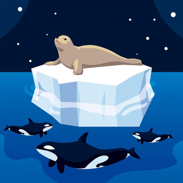 Premium Vector | Killer whale hunting seal on iceberg, north pole