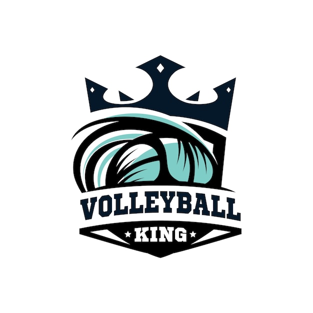 volley logo
