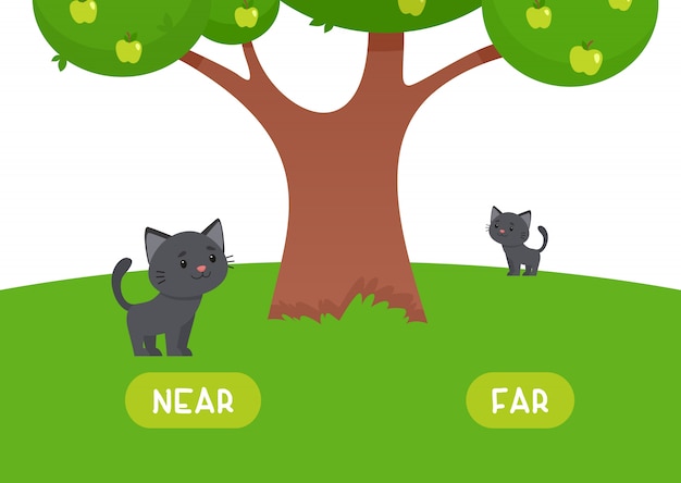 Free Vector Kitten Is Near And Far Illustration Of Opposites Near And Far