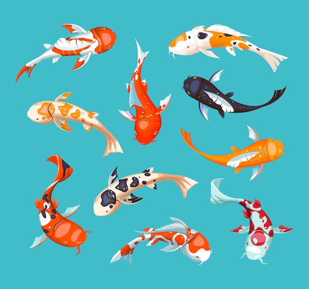 プレミアムベクター Ko 恋日本の魚のイラスト 中国の金魚 Koの富のシンボル 水族館のイラスト 魚のシームレスなパターン