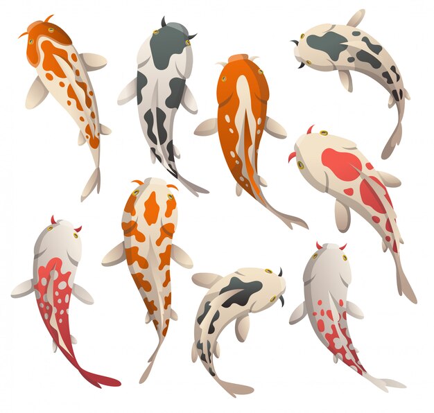 Download Koi fish flat illustration, japanese carp and colorful ...