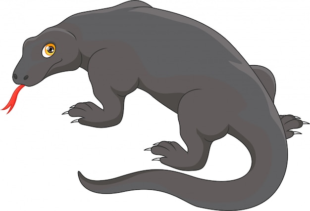 Premium Vector | Komodo dragon