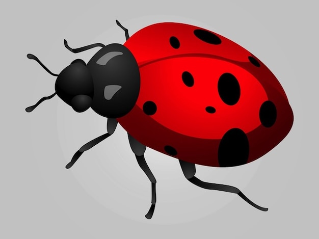 Ladybird insect dotted graphics vector