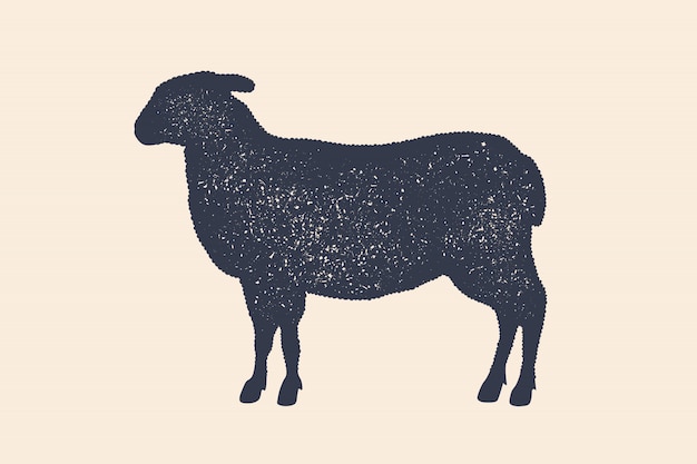 子羊 羊 ビンテージロゴ レトロなプリント 肉屋のポスター 羊のシルエット 肉ビジネス 肉屋のロゴのテンプレート シルエット羊 白い背景 図 プレミアムベクター
