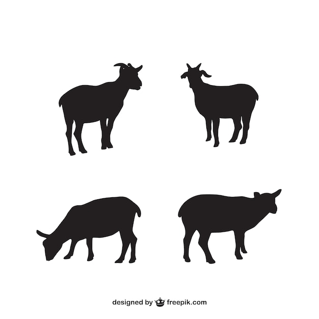 Lamb Silhouettes Free Vector 1350