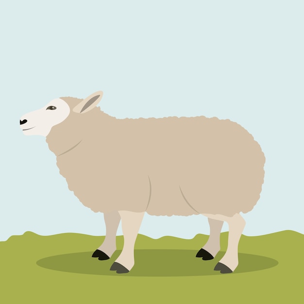 Lamb | Premium Vector