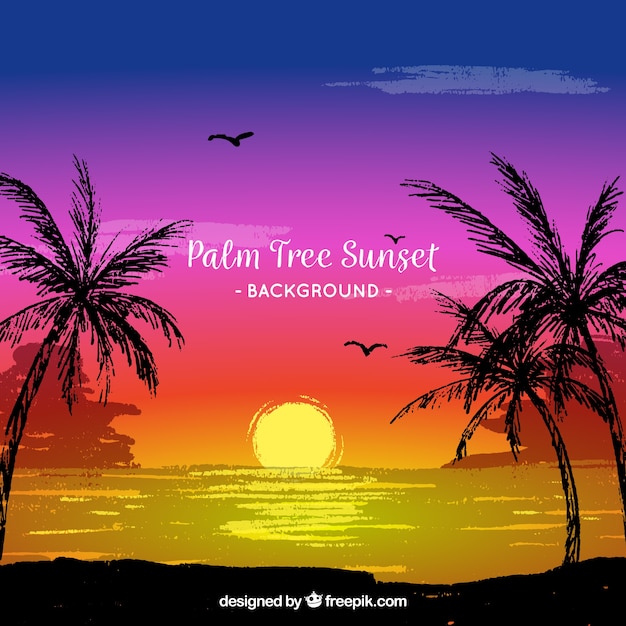 Landscape background at sunset with palm
trees