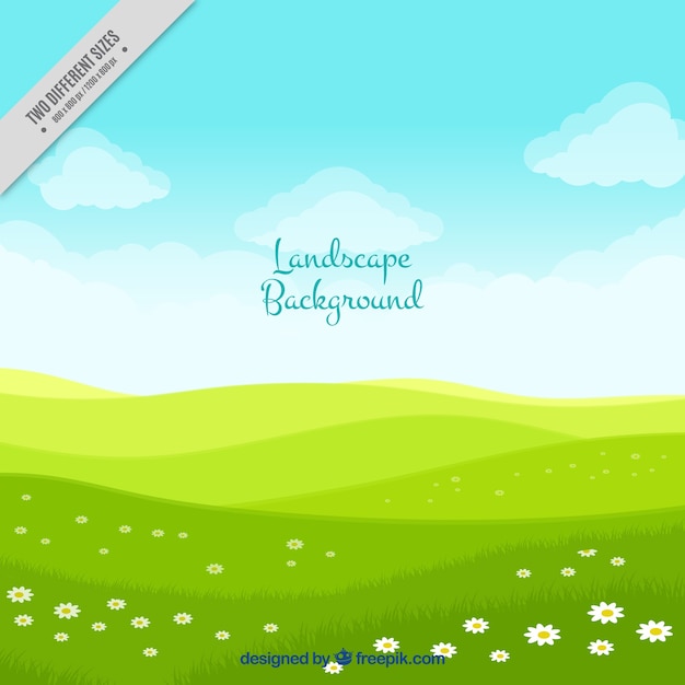 landscape background with green meadow_23 2147607414