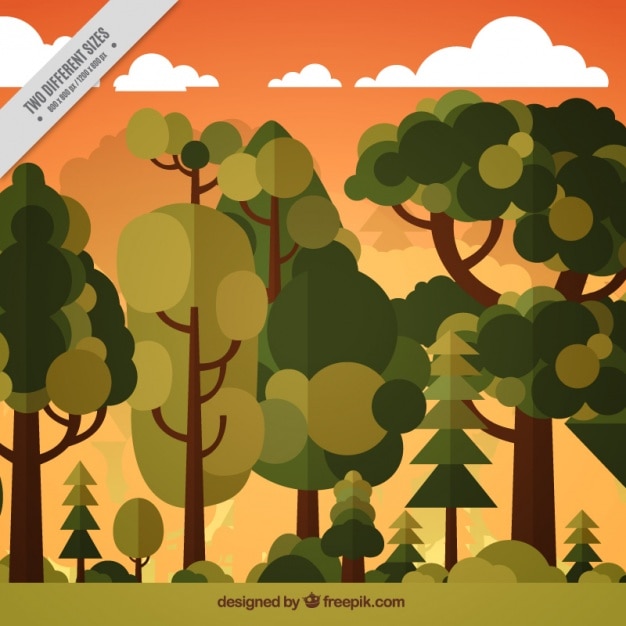 Landscape background with hight trees in flat
design