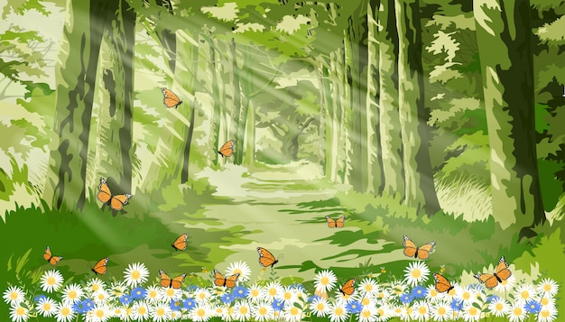 朝の森の葉 蝶とデイジーフィールドの上を飛んで蜂と緑の森のファンタジー漫画に輝く太陽の光と自然の美しいイラストの風景 プレミアムベクター