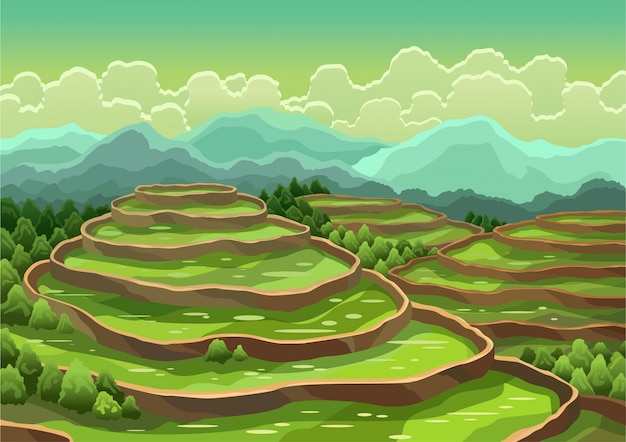 Premium Vector | Landscape of rice field terraces. asian rural