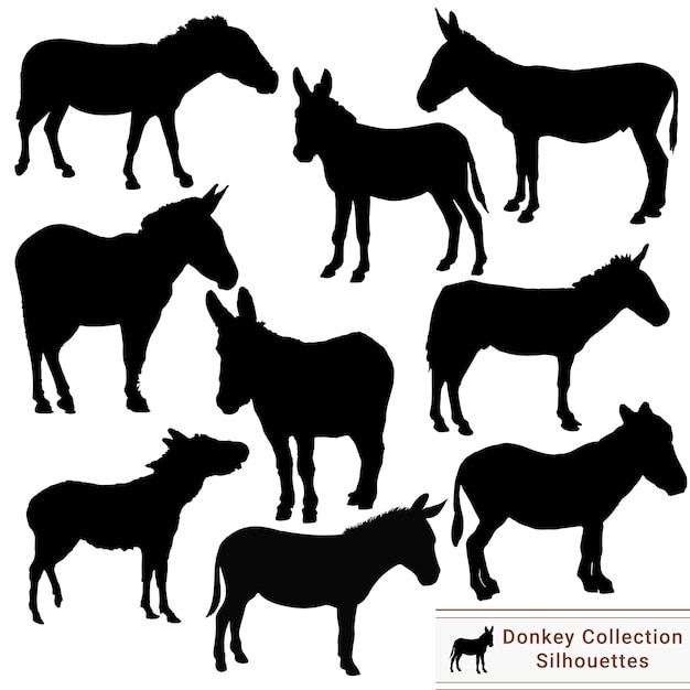 Premium Vector | Large collection of black donkey silhouettes in ...