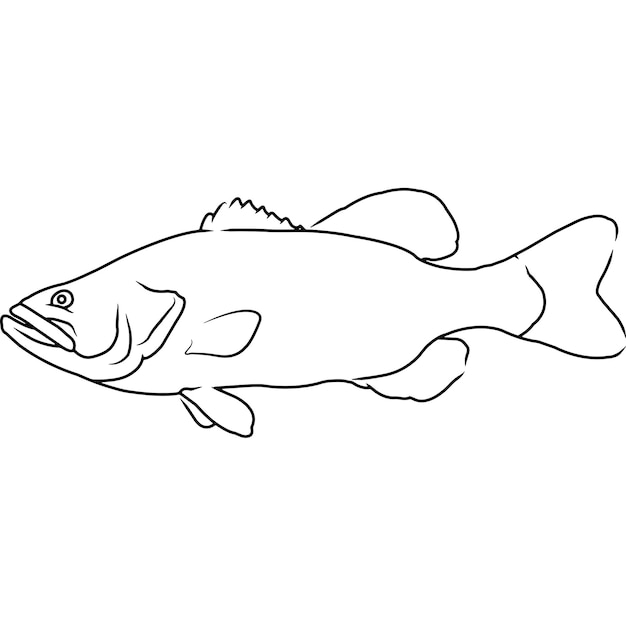 Premium Vector | Large mouth bass hand sketched hand drawn vector clipart