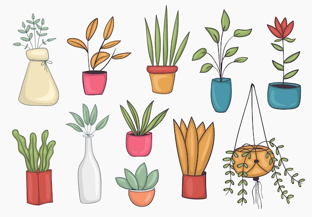 カラフルな手描きの鉢植えのイラストの大規模なセットホーム植物セット プレミアムベクター