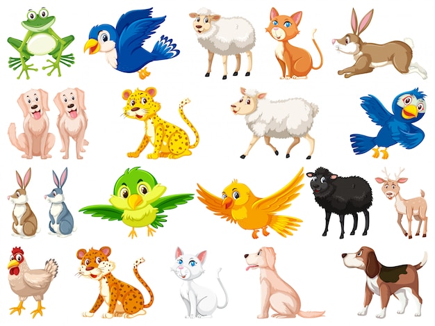 Premium Vector | Large set of wild animals on white background