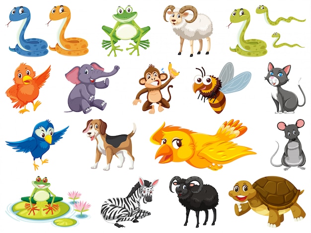 Large set of wild animals on white background | Premium Vector