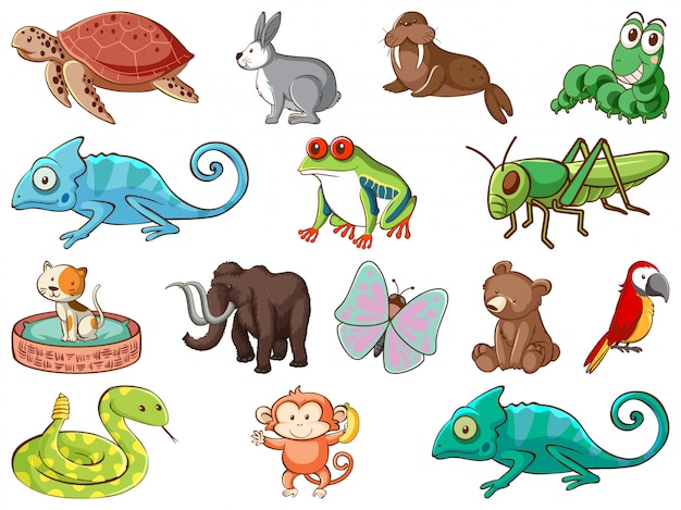 Large set of wildlife with many types of animals | Free Vector