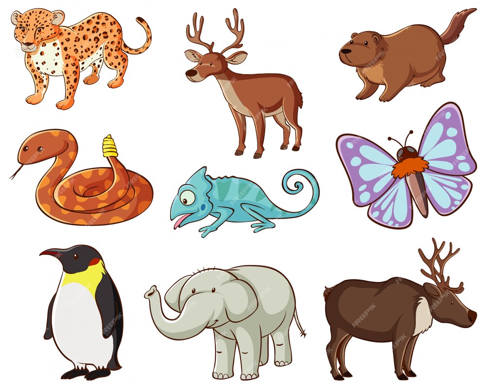 Free Vector | Large set of wildlife with many types of animals