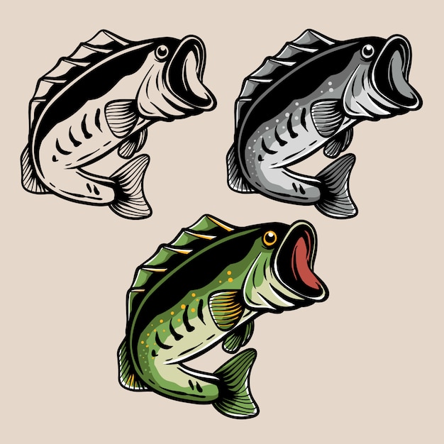 Download Premium Vector | Largemouth bass fish illustration