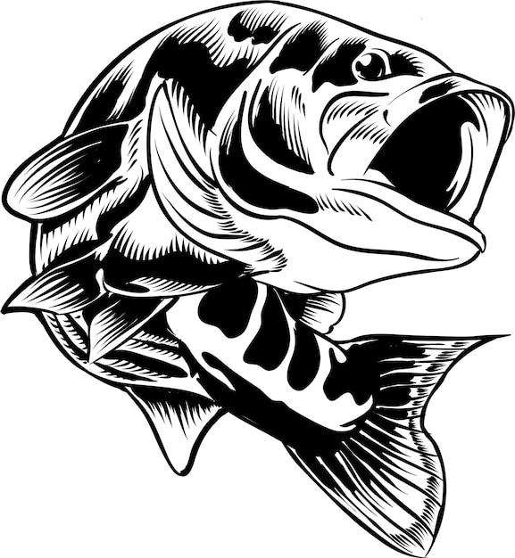 Download Largemouth Bass Images Free Vectors Stock Photos Psd