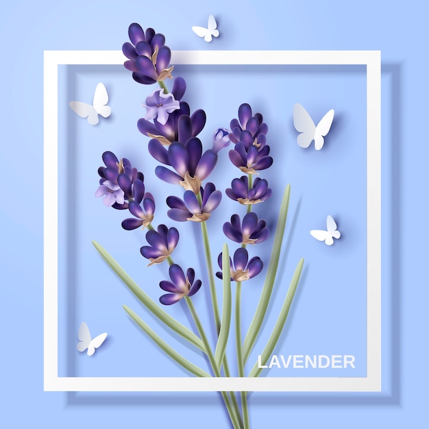 ラベンダーの花 紙蝶とイラストの白いフレームの魅力的な花 プレミアムベクター