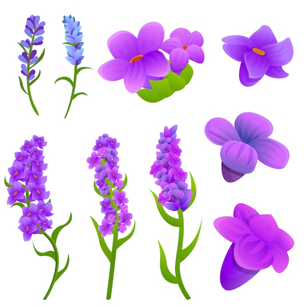 Lavender icons set, cartoon style Vector | Premium Download