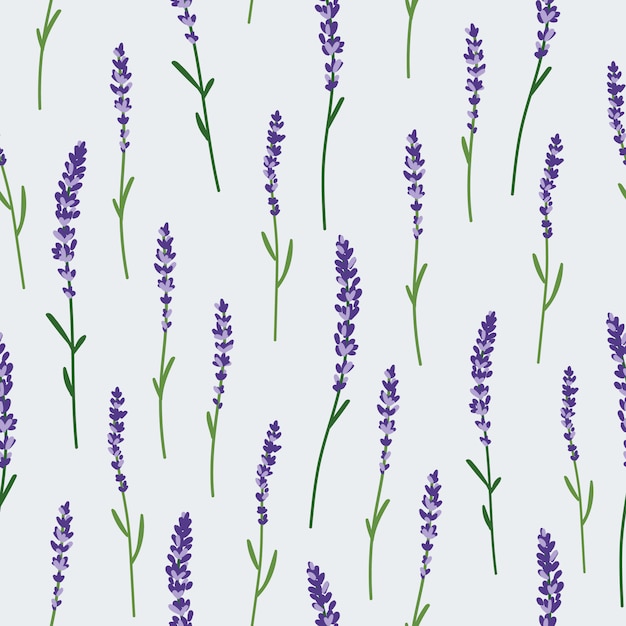 Premium Vector Lavender_pattern